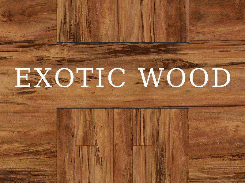 Por que escolher o design de piso de madeira exótica SPC?
